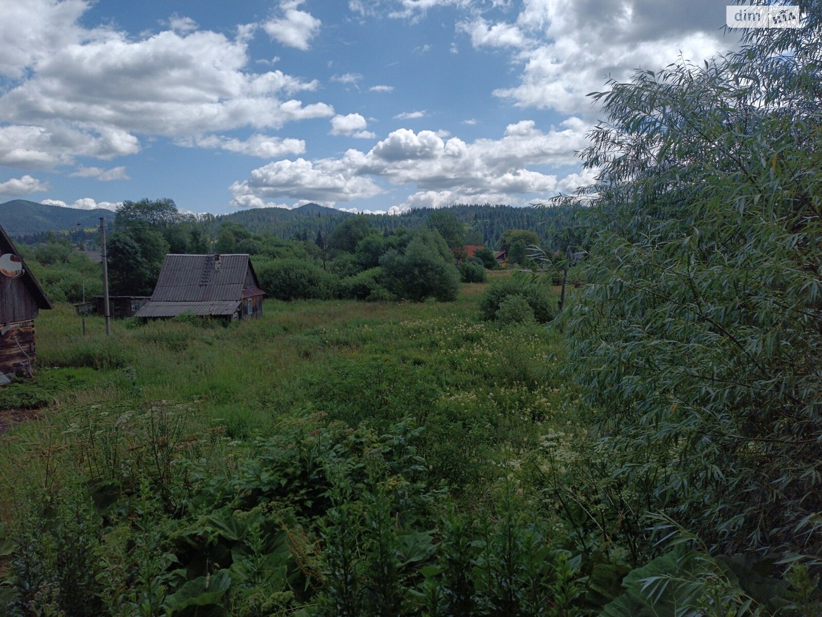 Земельный участок под жилую застройку в Микуличине, площадь 39.74 сотки фото 1 Земельный участок под жилую застройку в Микуличине, площадь 39.74 сотки фото 1