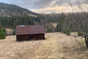 Земельна ділянка під житлову забудову в Микуличині, площа 124 сотки фото 2