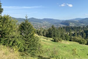 Земельна ділянка під житлову забудову в Микуличині, площа 30 соток фото 2