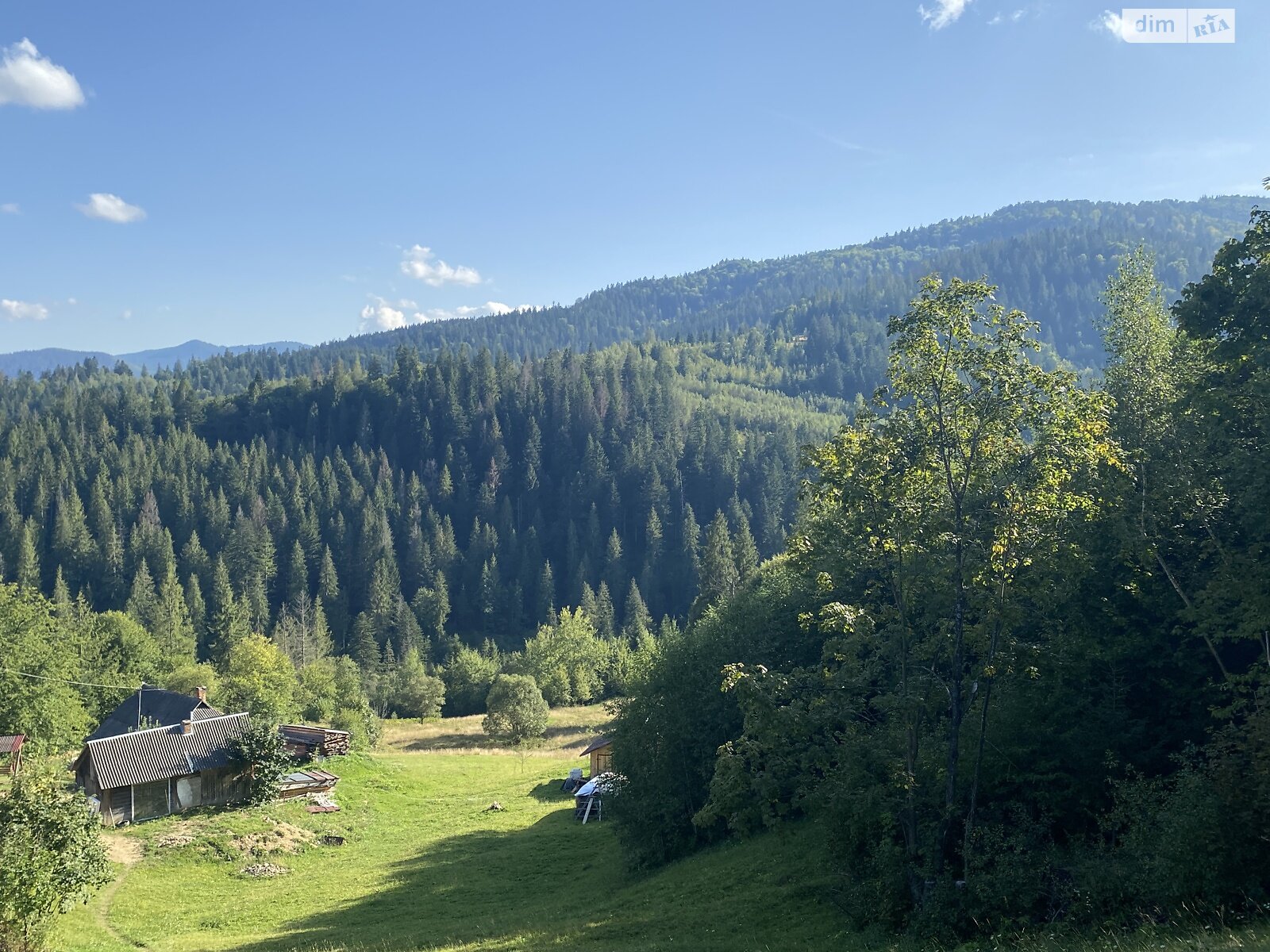 Земельный участок под жилую застройку в Микуличине, площадь 21 сотка фото 1