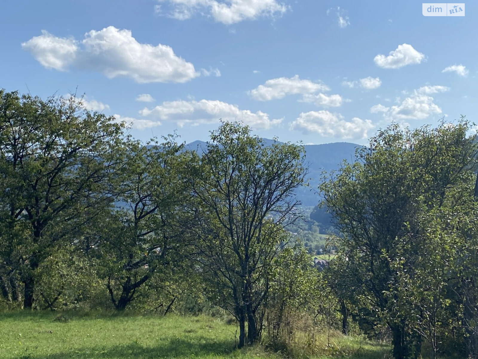 Земельный участок под жилую застройку в Микуличине, площадь 41 сотка фото 1