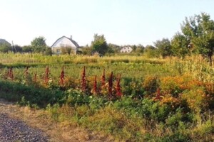 Земля под жилую застройку в Миргороде, район Миргород, площадь 10 соток фото 2