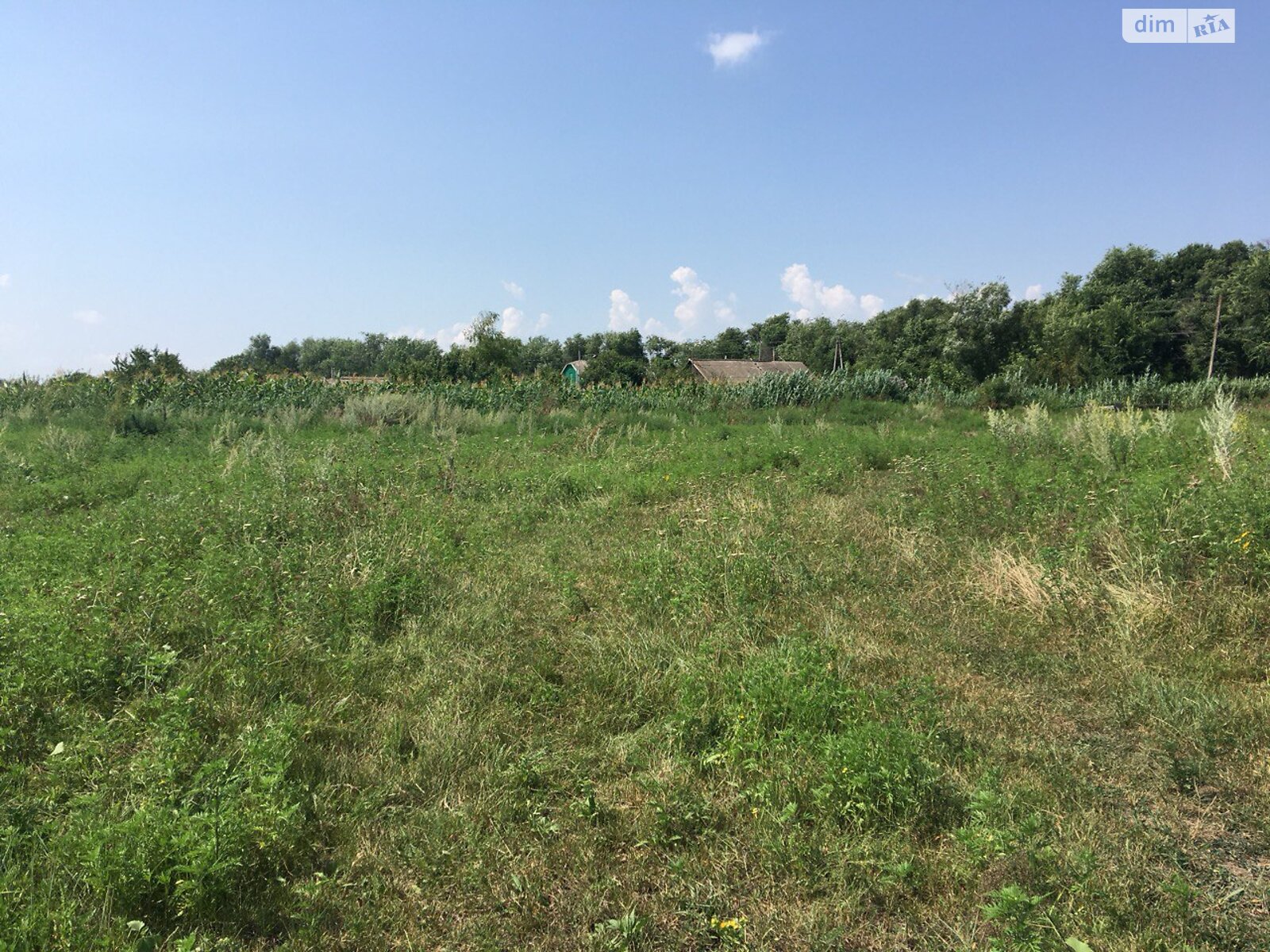 Земельна ділянка під житлову забудову в Мирному, площа 10 соток фото 1 Земельна ділянка під житлову забудову в Мирному, площа 10 соток фото 1