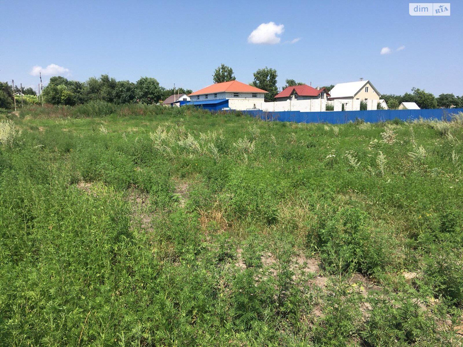 Земельна ділянка під житлову забудову в Мирному, площа 10 соток фото 1 Земельна ділянка під житлову забудову в Мирному, площа 10 соток фото 1