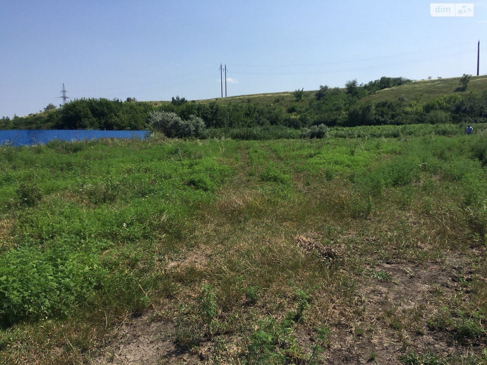 Земельна ділянка під житлову забудову в Мирному, площа 10 соток фото 1 Земельна ділянка під житлову забудову в Мирному, площа 10 соток фото 1