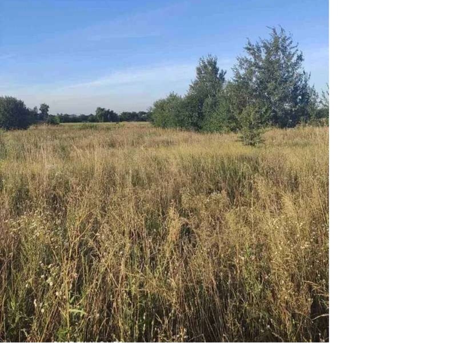 Земельный участок под жилую застройку в Мироцком, площадь 10 соток фото 1