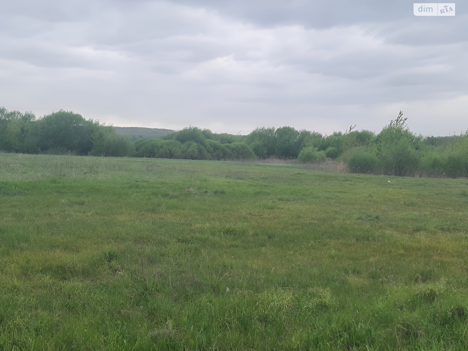 Земельна ділянка під житлову забудову в Мізяківській Слобідці, площа 23 сотки фото 1 Земельна ділянка під житлову забудову в Мізяківській Слобідці, площа 23 сотки фото 1
