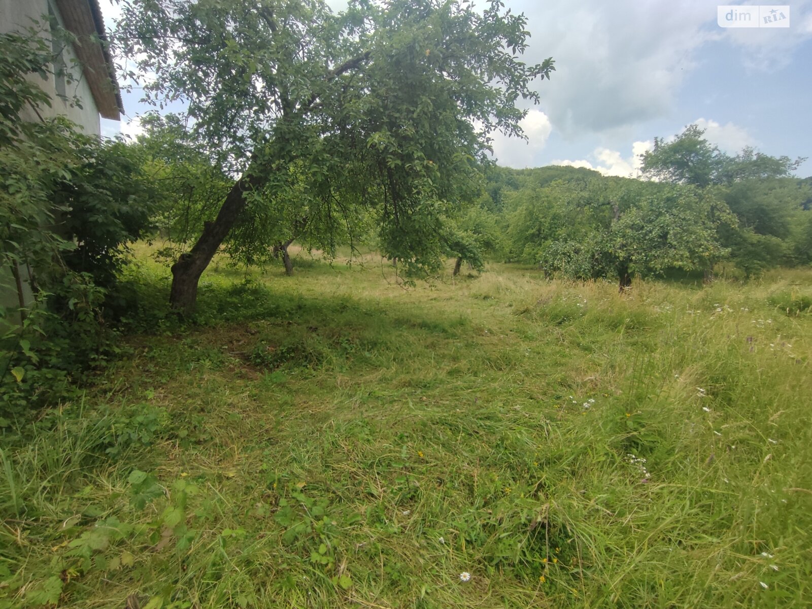 Земельна ділянка під житлову забудову в Модьороші, площа 17 соток фото 1