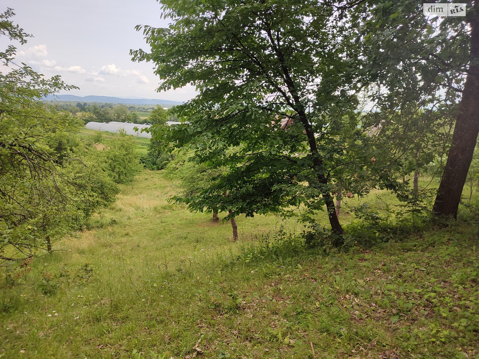 Земельна ділянка під житлову забудову в Модьороші, площа 17 соток фото 1