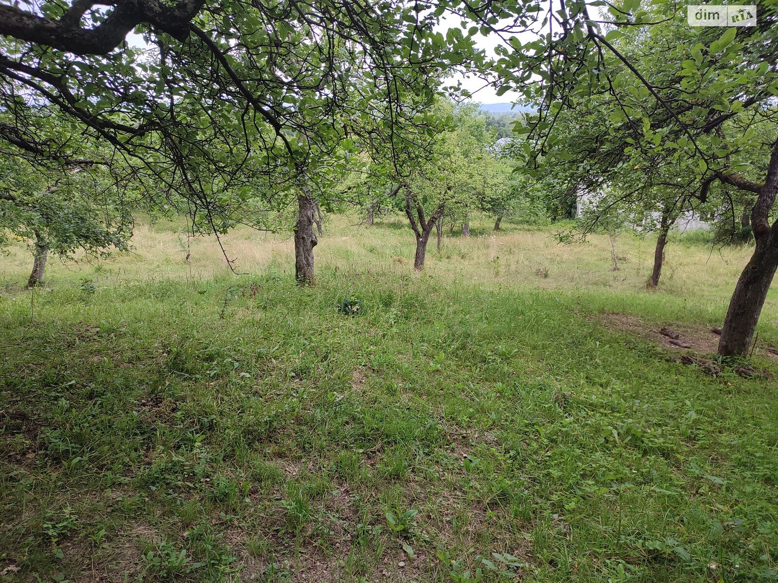 Земельна ділянка під житлову забудову в Модьороші, площа 17 соток фото 1