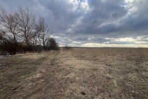 Земельный участок под жилую застройку в Могилянах, площадь 1 Га фото 2