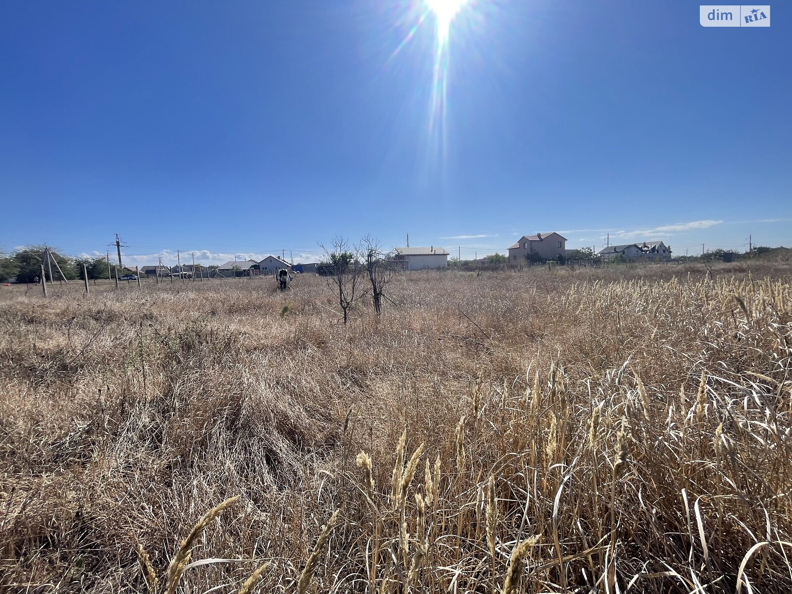 Земельный участок под жилую застройку в Молодежном, площадь 10 соток фото 1