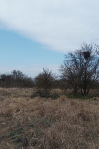Земельна ділянка під житлову забудову в Молодіжному, площа 11.85 сотки фото 2