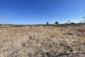 Земельный участок под жилую застройку в Молодежном, площадь 10 соток фото 2