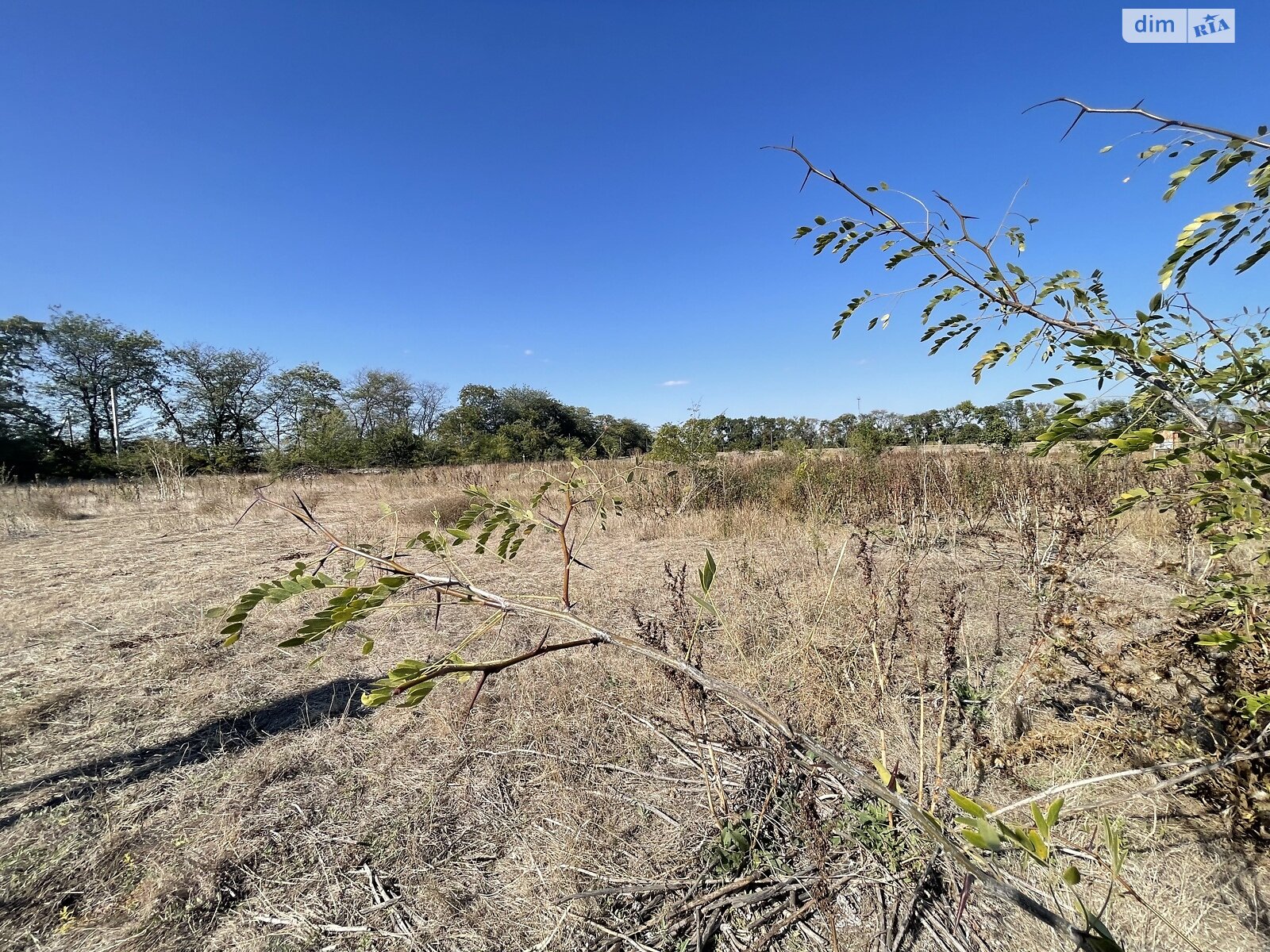 Земельный участок под жилую застройку в Молодежном, площадь 10 соток фото 1