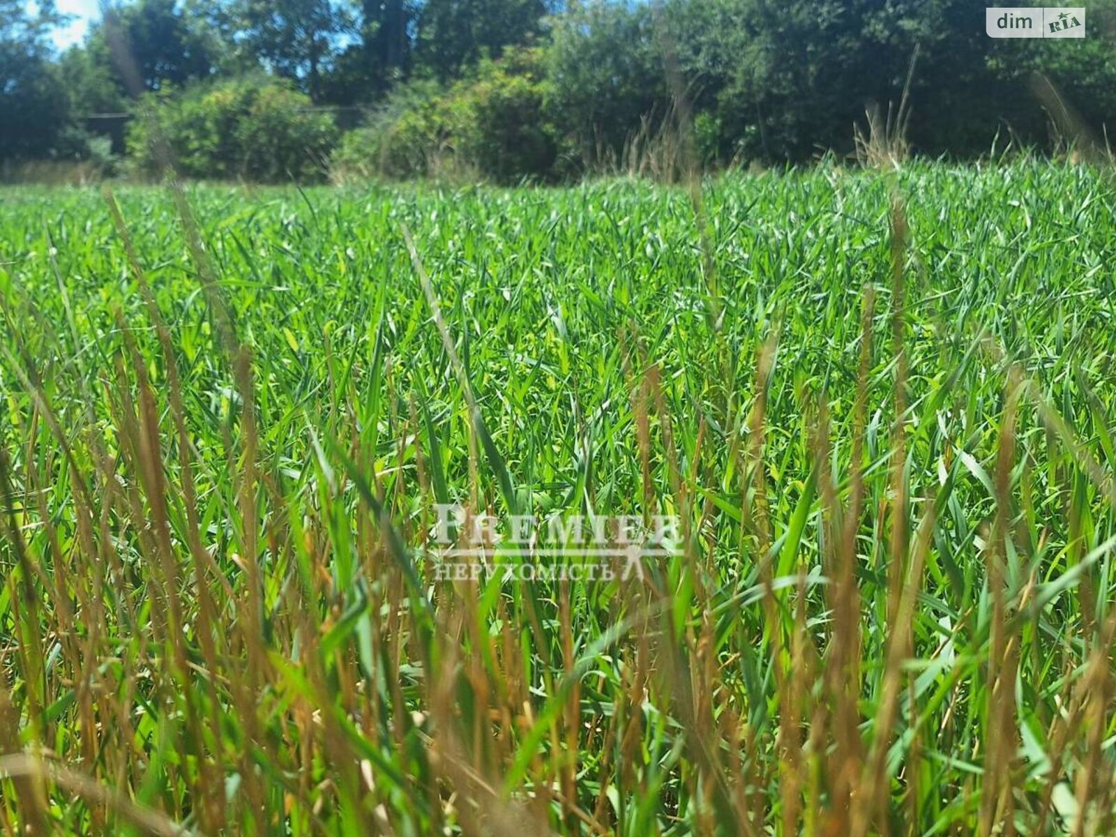 Земельна ділянка під житлову забудову в Молодіжному, площа 11.26 сотки фото 1