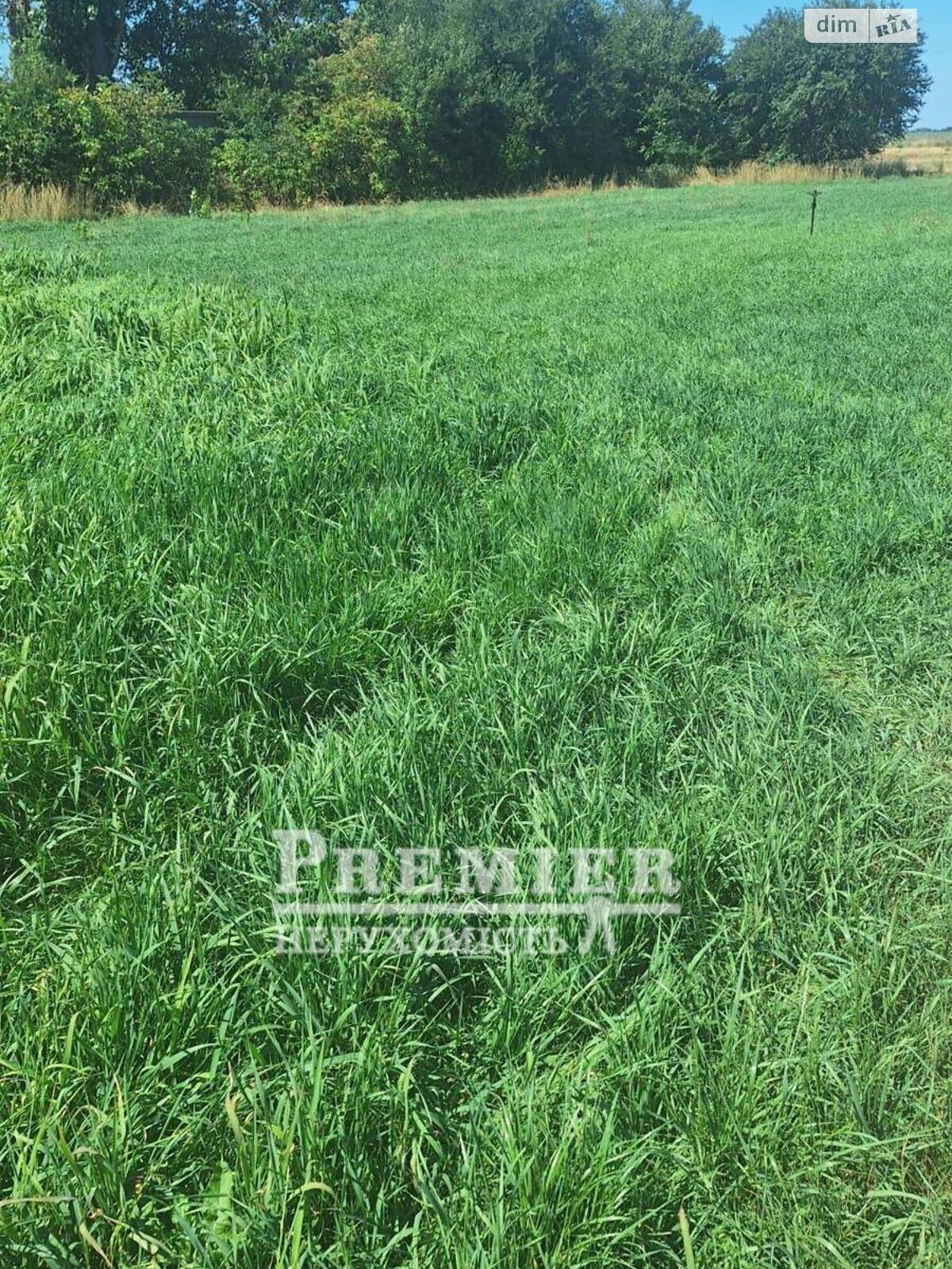 Земельна ділянка під житлову забудову в Молодіжному, площа 11.26 сотки фото 1