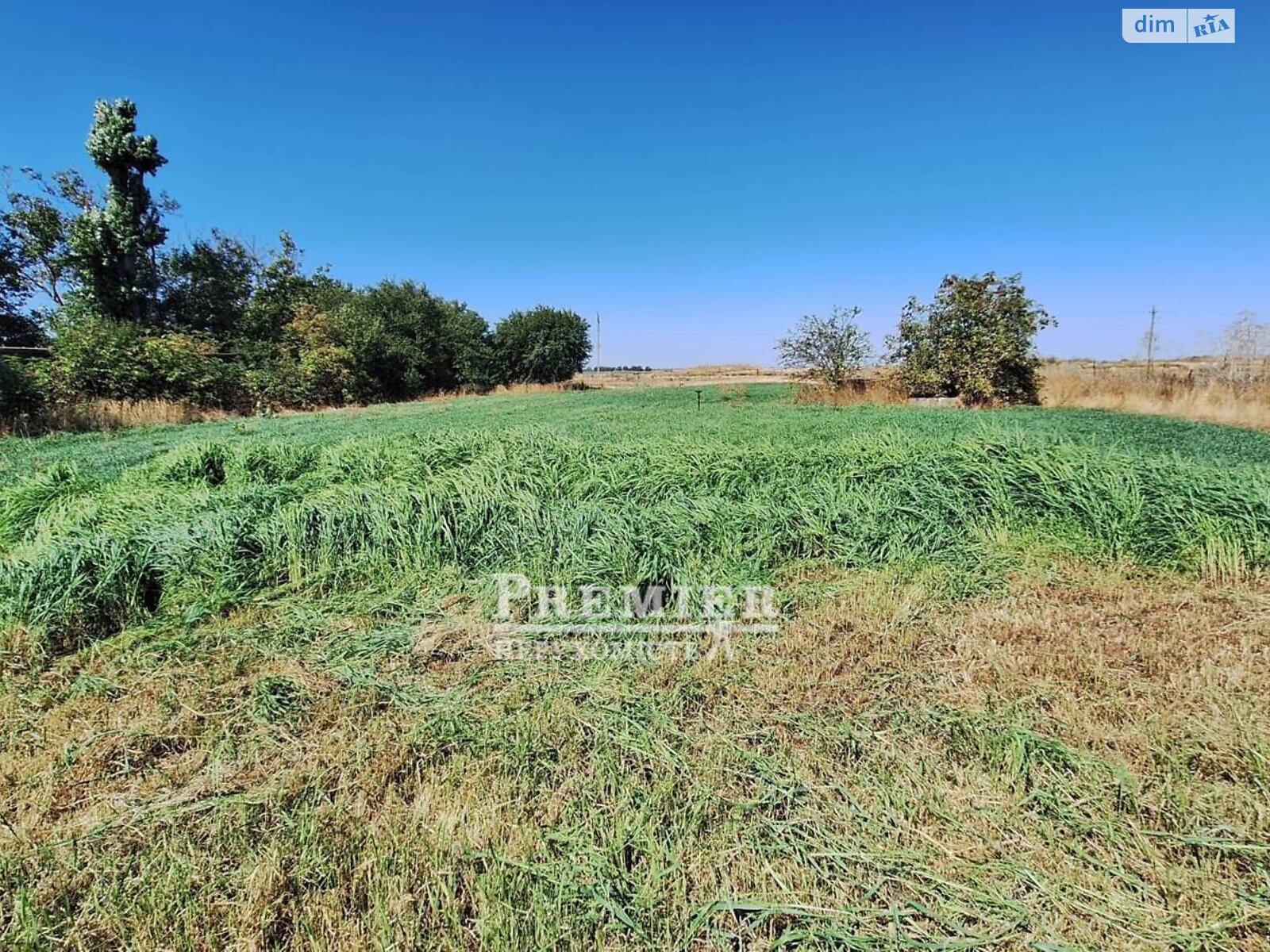 Земельна ділянка під житлову забудову в Молодіжному, площа 11.26 сотки фото 1