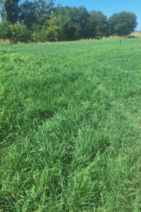 Земельный участок под жилую застройку в Молодежном, площадь 11.26 сотки фото 2 Земельный участок под жилую застройку в Молодежном, площадь 11.26 сотки фото 2