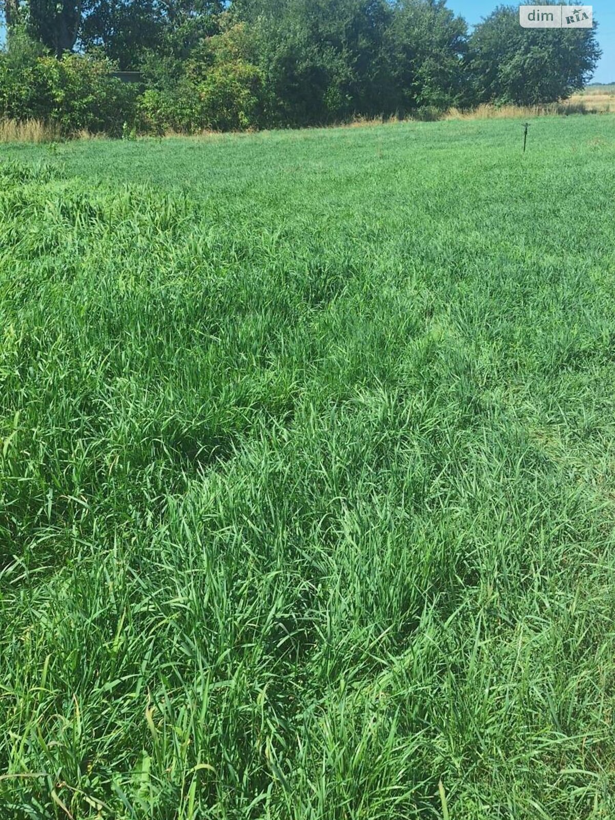 Земельный участок под жилую застройку в Молодежном, площадь 11.26 сотки фото 1 Земельный участок под жилую застройку в Молодежном, площадь 11.26 сотки фото 1