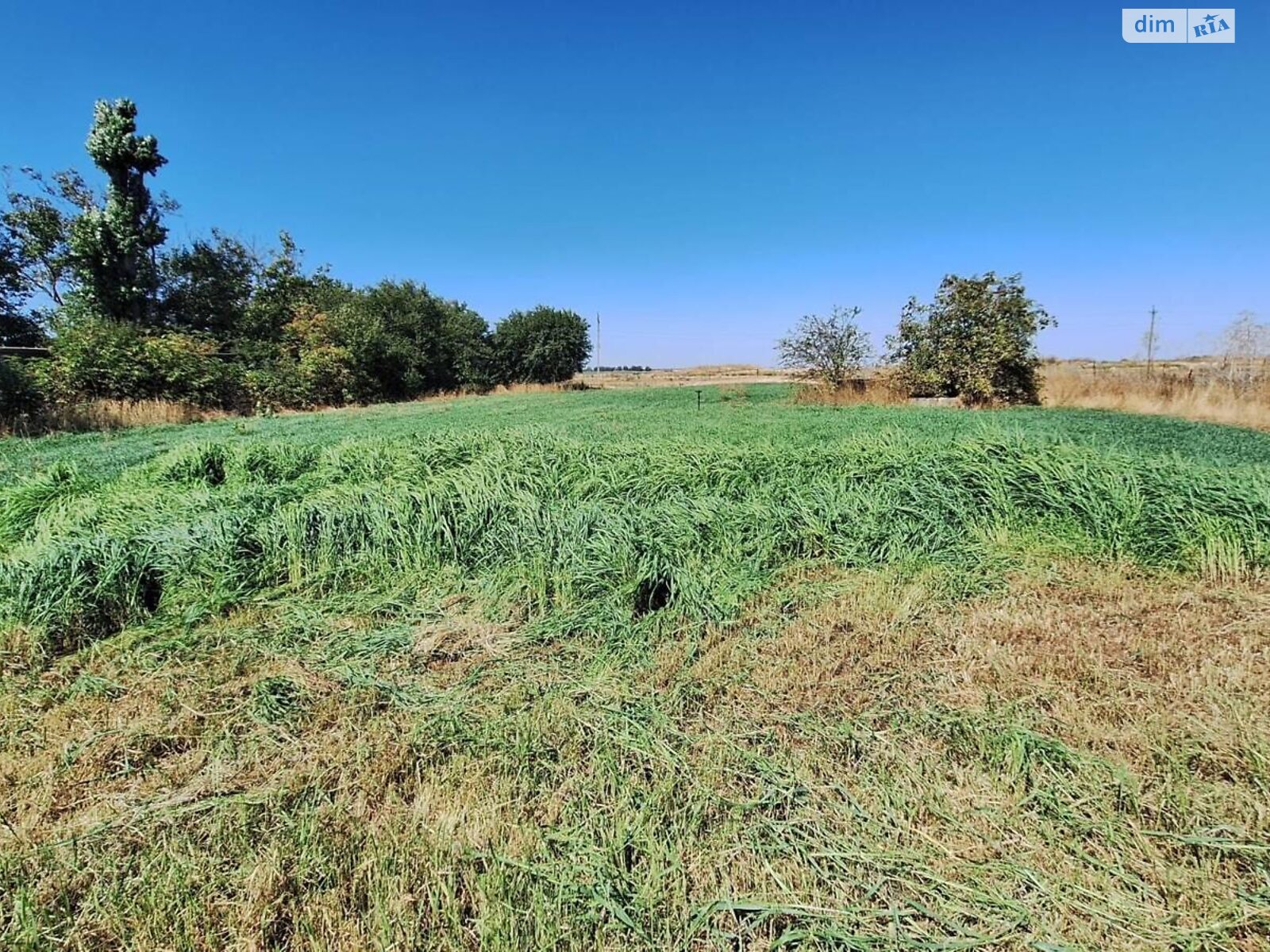 Земельный участок под жилую застройку в Молодежном, площадь 11.26 сотки фото 1 Земельный участок под жилую застройку в Молодежном, площадь 11.26 сотки фото 1