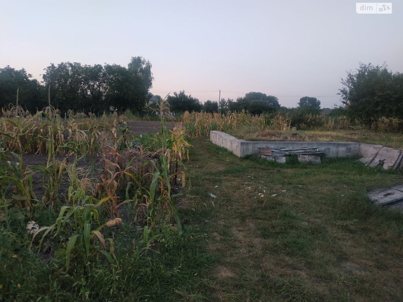 Земельна ділянка під житлову забудову в Морозівці, площа 0.1836 Га фото 1