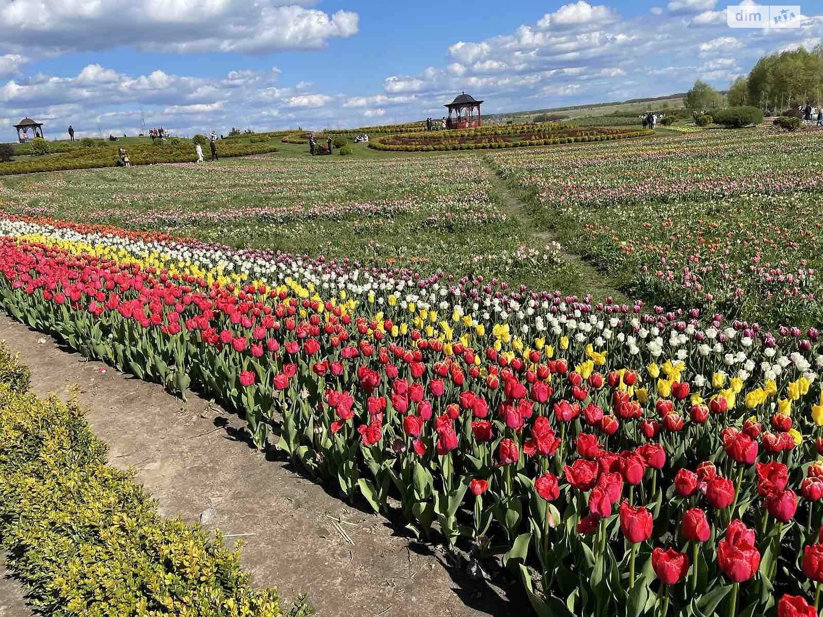 Земельна ділянка під житлову забудову в Мотижині, площа 876 соток фото 1