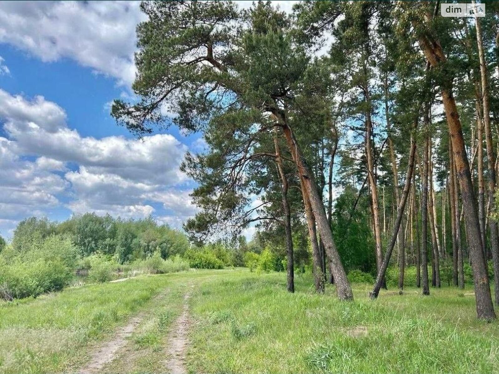 Земельный участок под жилую застройку в Мотижине, площадь 2 Га фото 1