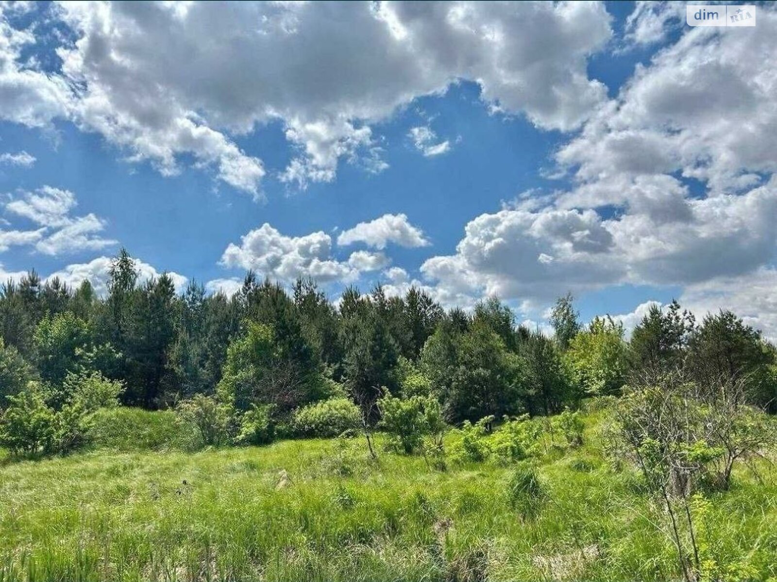 Земельный участок под жилую застройку в Мотижине, площадь 2 Га фото 1