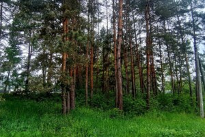 Земельный участок под жилую застройку в Мрии, площадь 10.01 сотки фото 2
