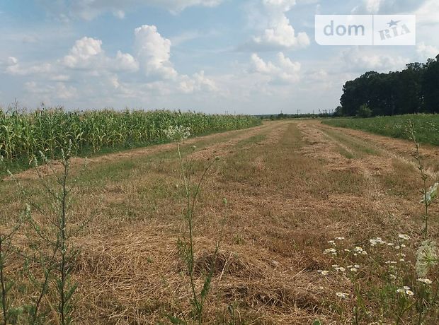 Продаж ділянки під житлову забудову, Закарпатська, Мукачево, c. Нове Давидково, Мукачевская улица Продаж ділянки під житлову забудову, Закарпатська, Мукачево, c. Нове Давидково, Мукачевская улица
