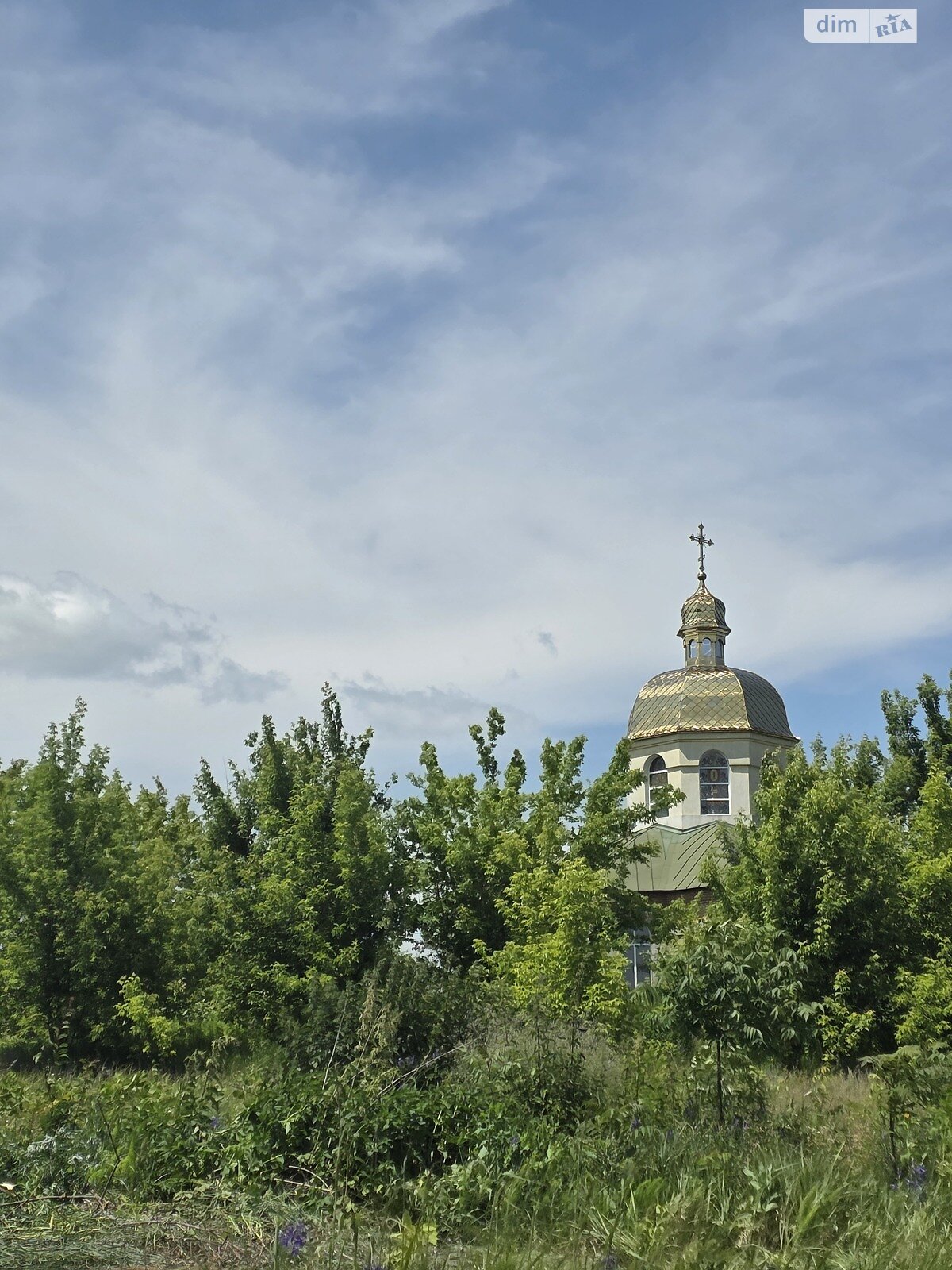 Земельна ділянка під житлову забудову в Музичах, площа 20 соток фото 1 Земельна ділянка під житлову забудову в Музичах, площа 20 соток фото 1