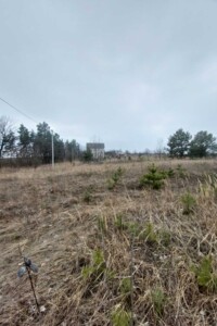 Земельный участок под жилую застройку в Музичах, площадь 15.11 сотки фото 2