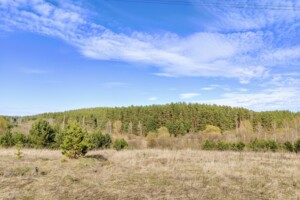 Земельна ділянка під житлову забудову в Музичах, площа 15 соток фото 2