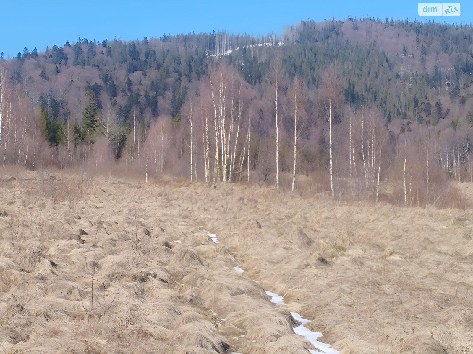 Земельна ділянка під житлову забудову в Мислівці, площа 0.4 сотки фото 1 Земельна ділянка під житлову забудову в Мислівці, площа 0.4 сотки фото 1