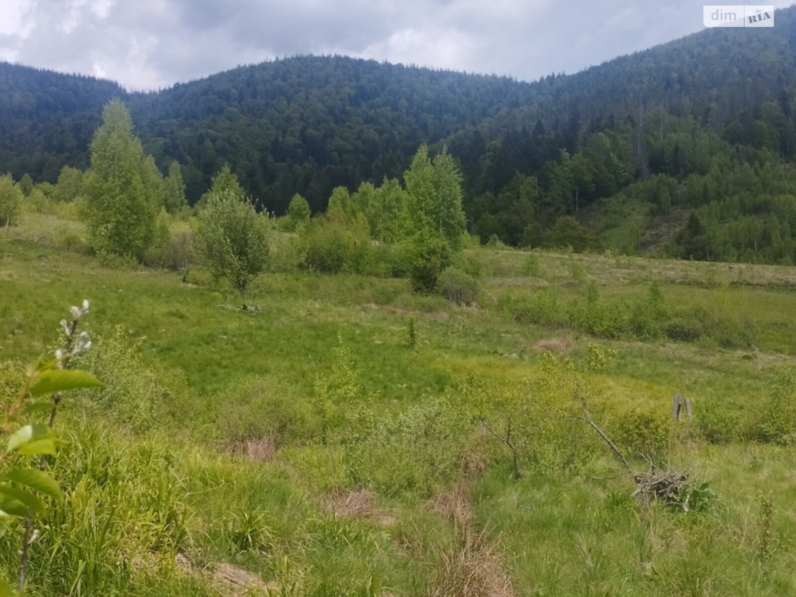 Земельна ділянка під житлову забудову в Мислівці, площа 7 соток фото 1 Земельна ділянка під житлову забудову в Мислівці, площа 7 соток фото 1