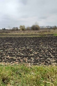 Земельна ділянка під житлову забудову в Митниці, площа 25 соток фото 1 Земельна ділянка під житлову забудову в Митниці, площа 25 соток фото 1