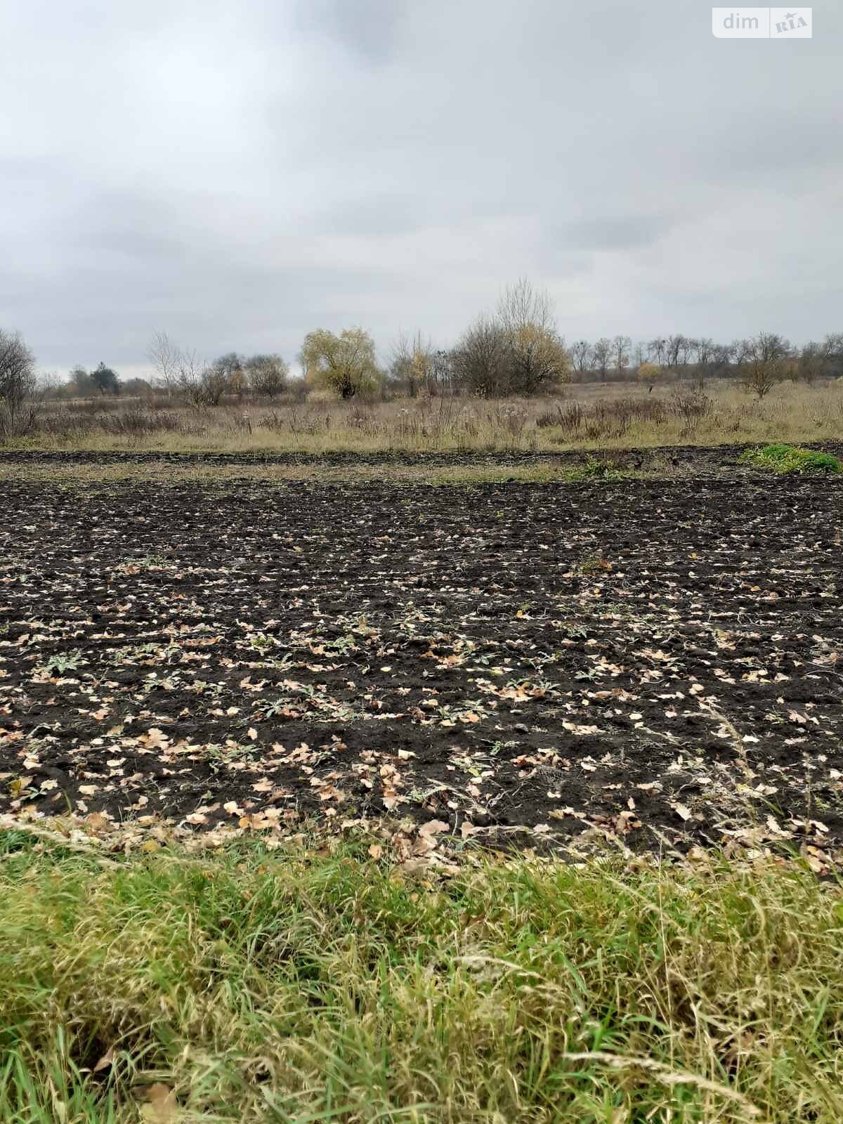 Земельна ділянка під житлову забудову в Митниці, площа 25 соток фото 1 Земельна ділянка під житлову забудову в Митниці, площа 25 соток фото 1