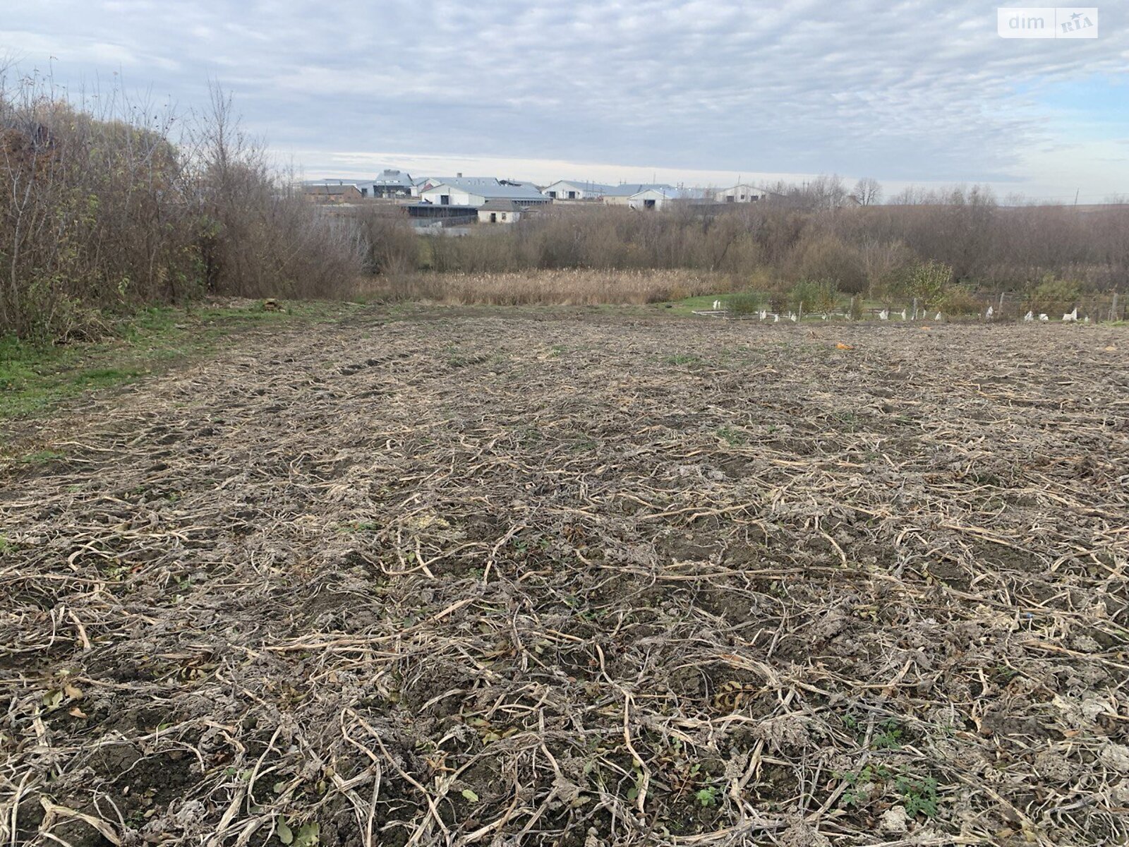Земельный участок под жилую застройку в Немичинцах, площадь 21.83 сотки фото 1