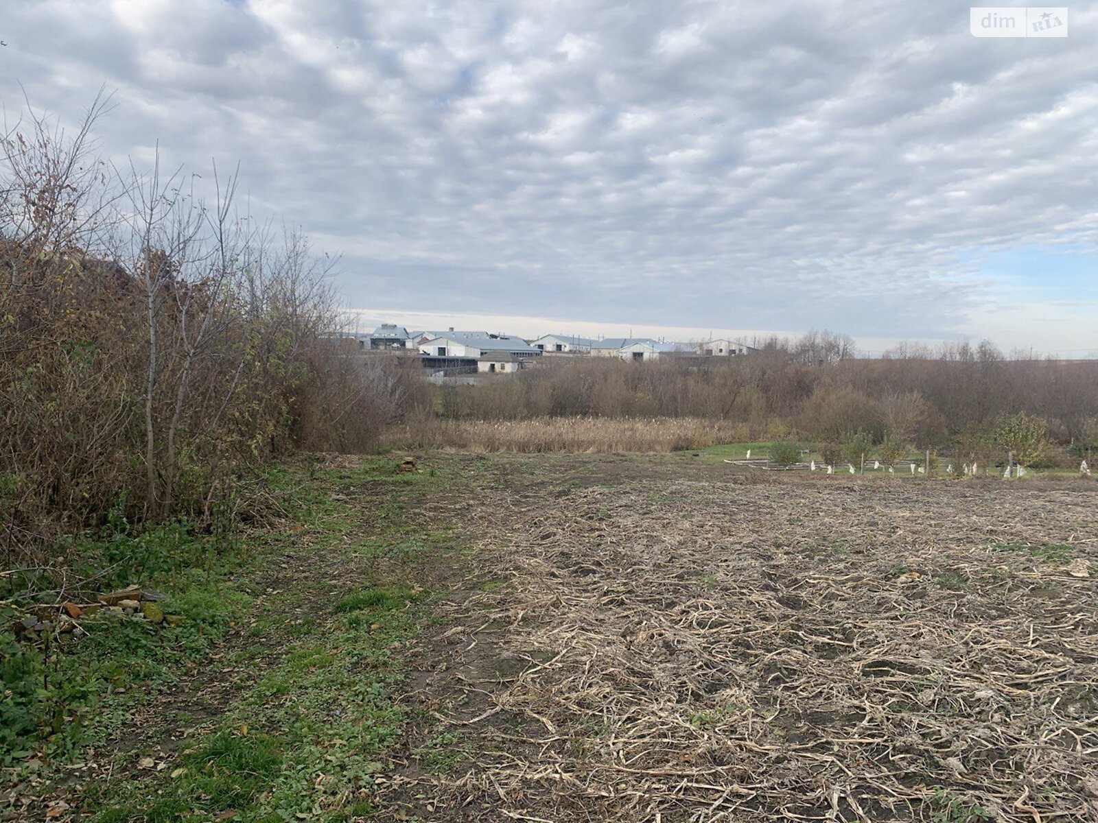 Земельный участок под жилую застройку в Немичинцах, площадь 21.83 сотки фото 1