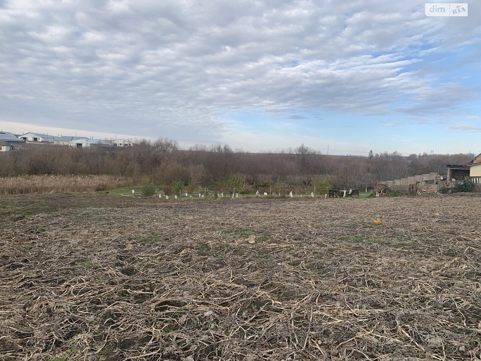 Земельный участок под жилую застройку в Немичинцах, площадь 21.83 сотки фото 1