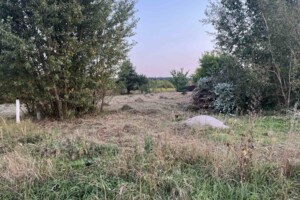 Земельна ділянка під житлову забудову в Нещеровому, площа 0.148 Га фото 2