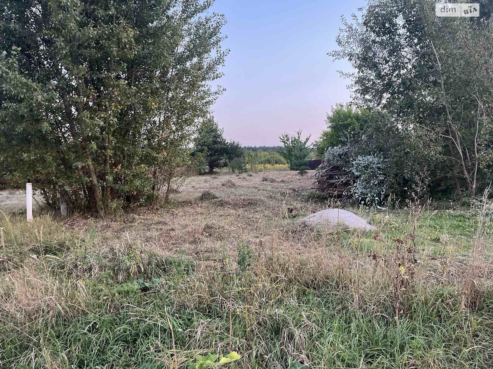 Земельна ділянка під житлову забудову в Нещеровому, площа 0.148 Га фото 1