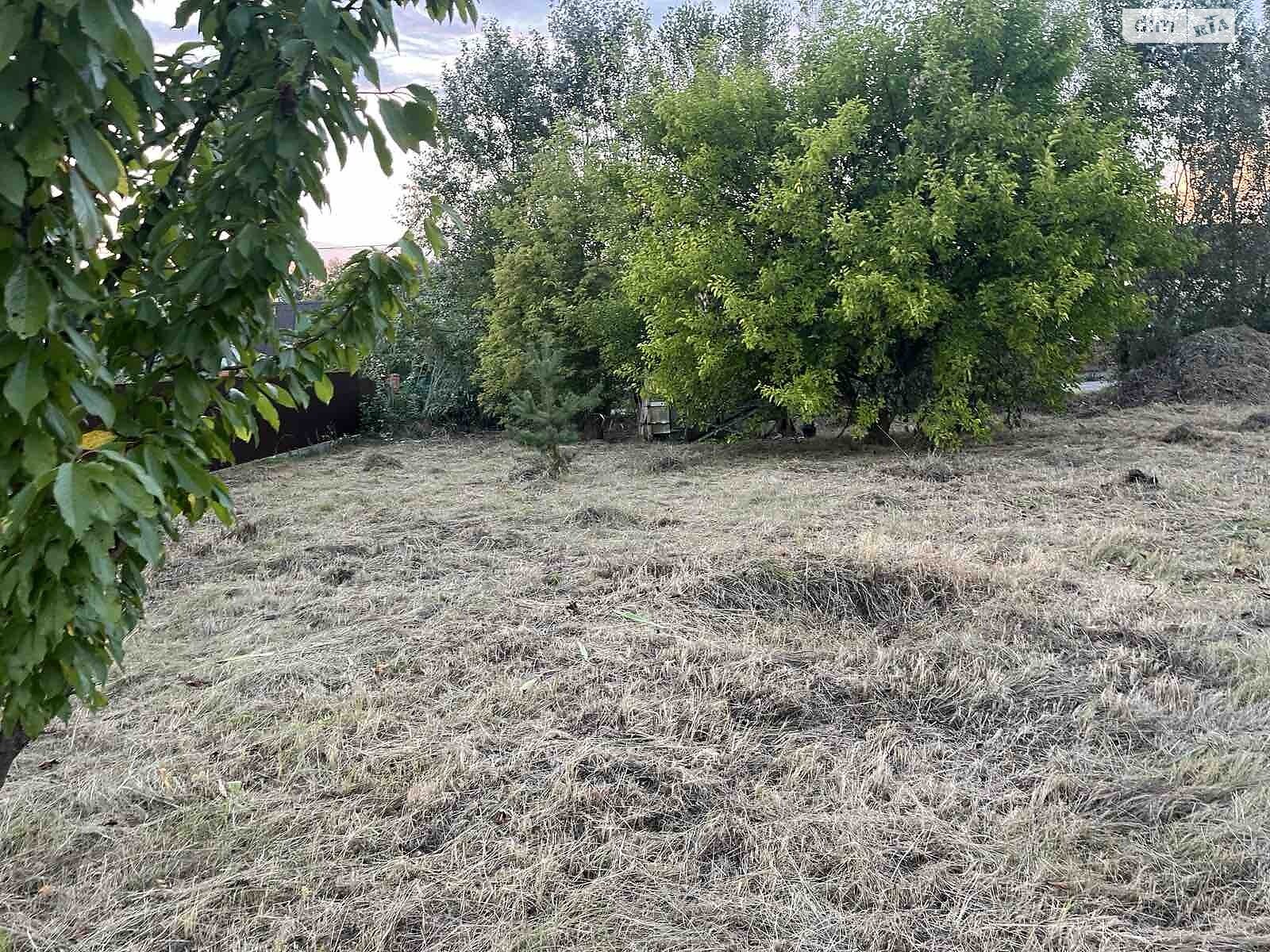 Земельна ділянка під житлову забудову в Нещеровому, площа 0.148 Га фото 1