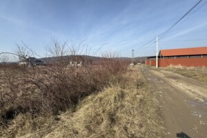 Земельна ділянка під житлову забудову в Невицькому, площа 8 соток фото 2