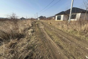 Земельна ділянка під житлову забудову в Невицькому, площа 8 соток фото 2