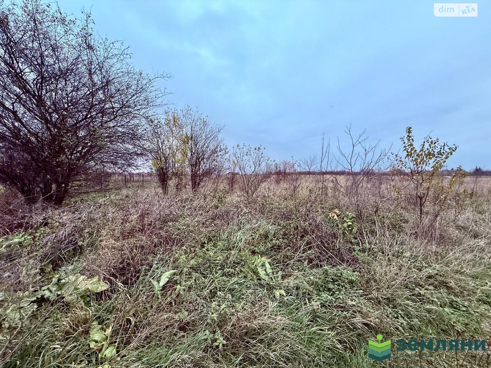 Земельный участок под жилую застройку в Никитинцах, площадь 16.73 сотки фото 1