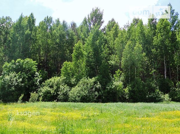 Продажа участка под жилую застройку, Николаев, р‑н. Баловне Продажа участка под жилую застройку, Николаев, р‑н. Баловне