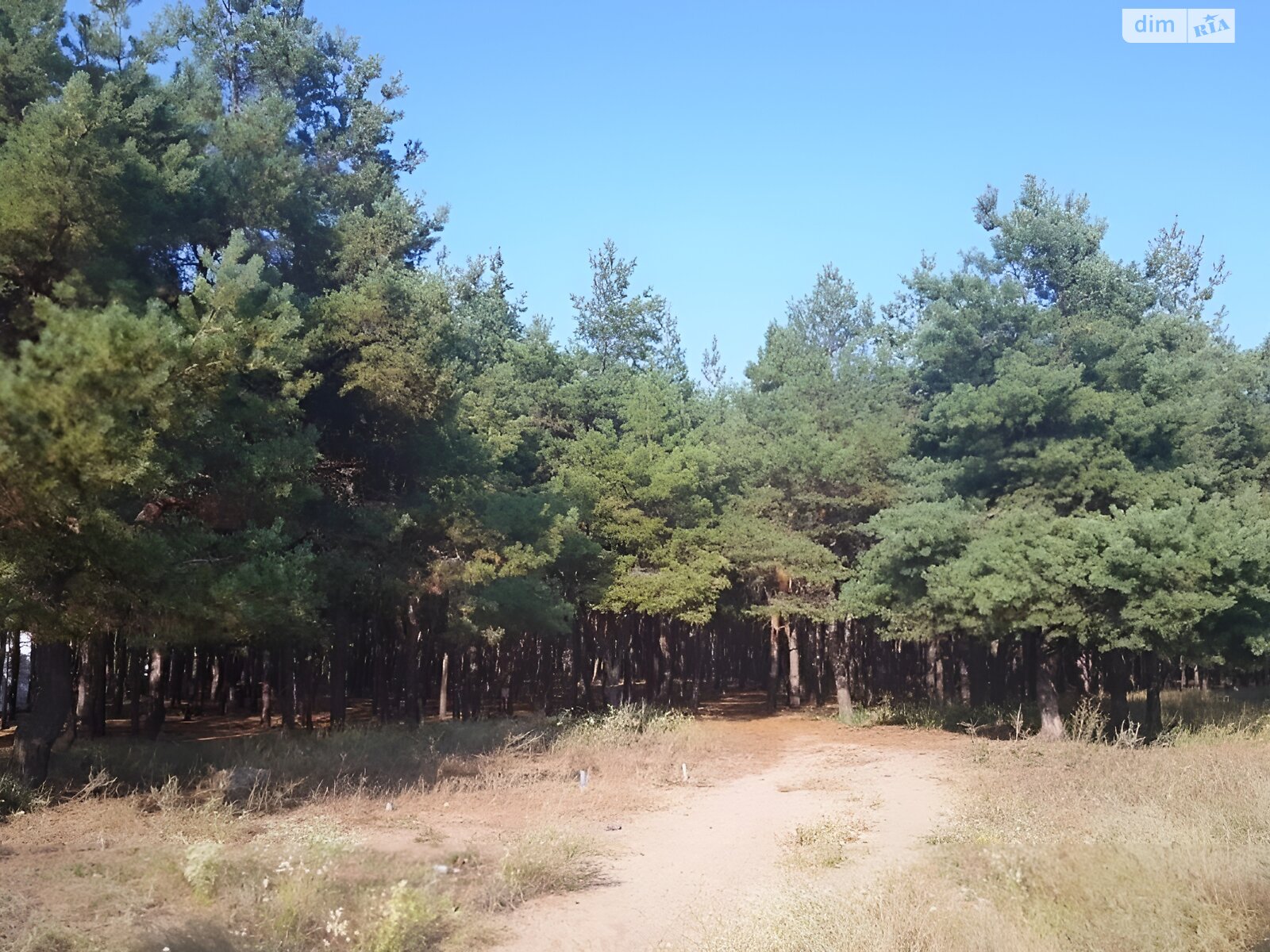 Земля під житлову забудову в Миколаєві, район Корабельний, площа 10 соток фото 1 Земля під житлову забудову в Миколаєві, район Корабельний, площа 10 соток фото 1