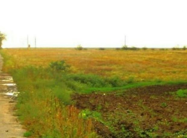 Земля під житлову забудову в селі Крива Балка, площа 25 соток фото 1 Земля під житлову забудову в селі Крива Балка, площа 25 соток фото 1